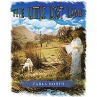 bokomslag Little Lost Lamb