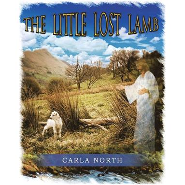 bokomslag Little Lost Lamb