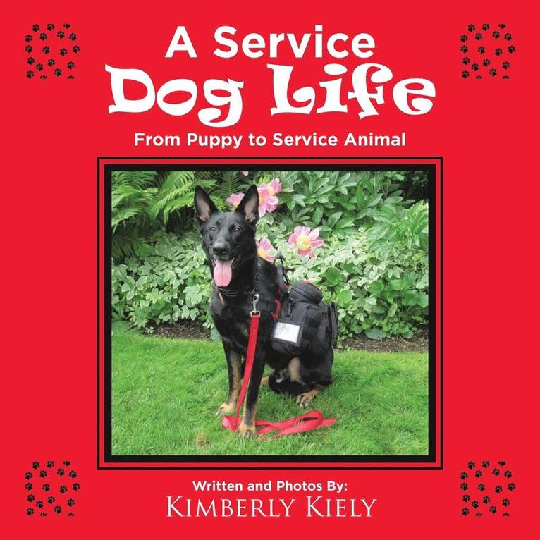 A Service Dog Life 1