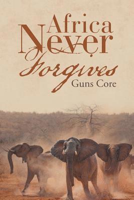 bokomslag Africa Never Forgives