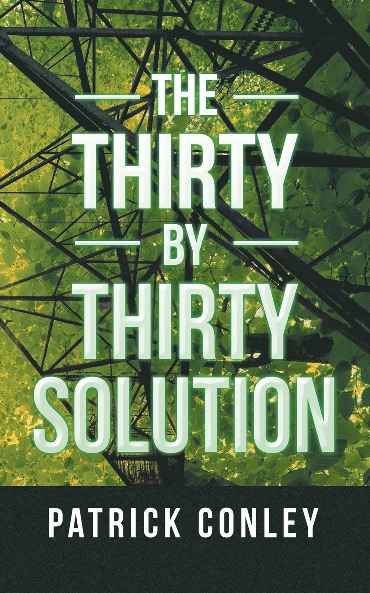 The Thirty by Thirty Solution 1