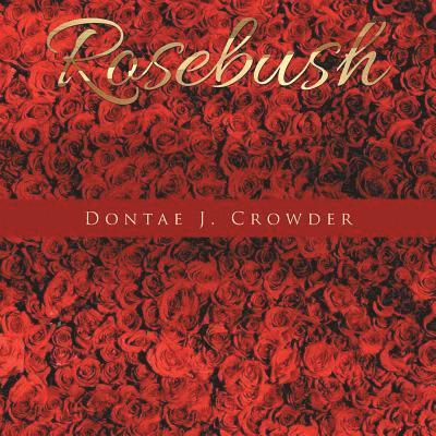 Rosebush 1