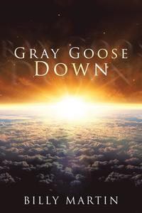 bokomslag Gray Goose Down