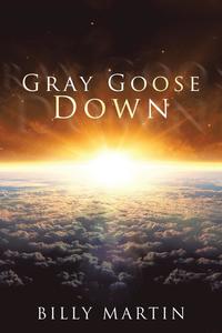 bokomslag Gray Goose Down