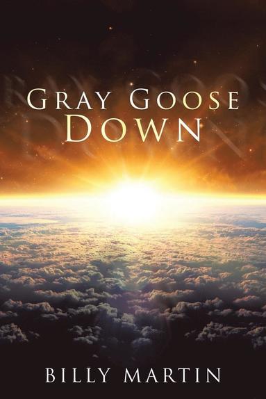 bokomslag Gray Goose Down