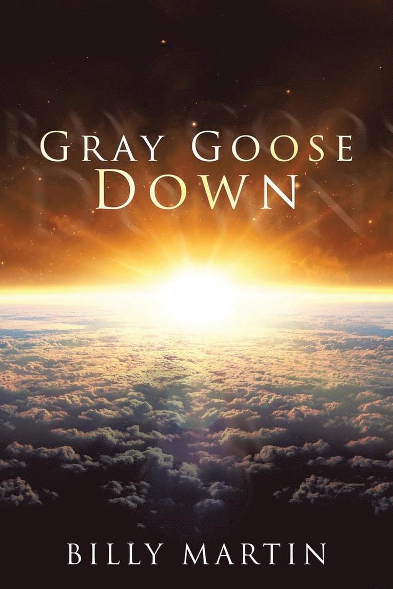 Gray Goose Down 1