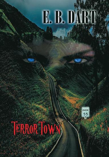 bokomslag Terror Town