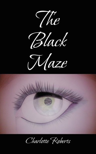 bokomslag Black Maze