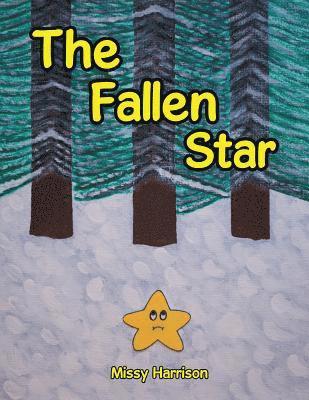 bokomslag The Fallen Star