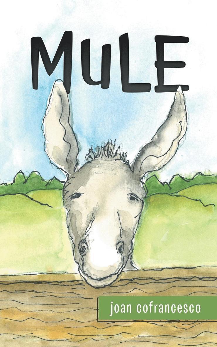 Mule 1