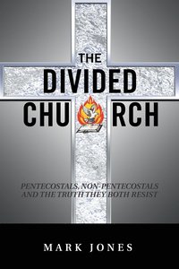 bokomslag Divided Church