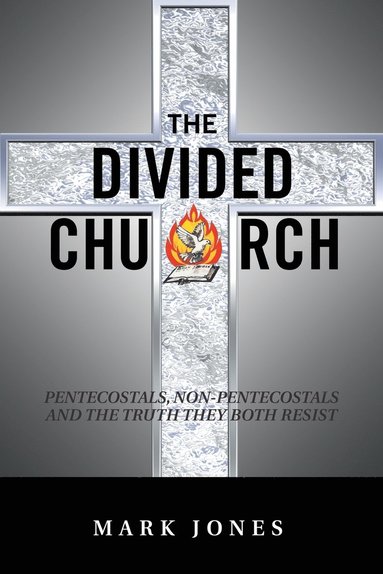 bokomslag Divided Church
