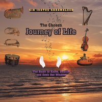 bokomslag The Chosen Journey of Life