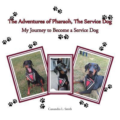 The Adventures of Pharaoh, the Service Dog 1
