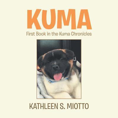 Kuma 1