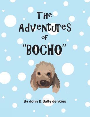 bokomslag Adventures of Bocho