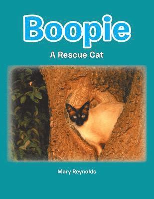 bokomslag Boopie
