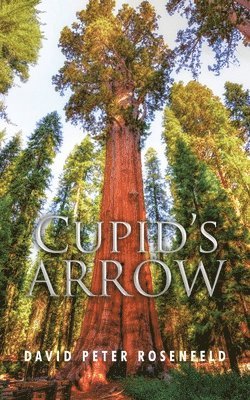 Cupid's Arrow 1