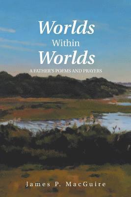 bokomslag Worlds Within Worlds