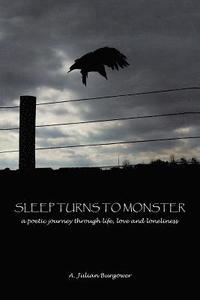bokomslag Sleep Turns to Monster