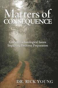 bokomslag Matters of Consequence