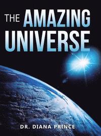 bokomslag Amazing Universe