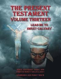 bokomslag Present Testament Volume Thirteen