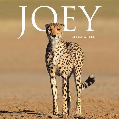 Joey 1