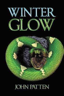 John Patten - Winter Glow, Häftad