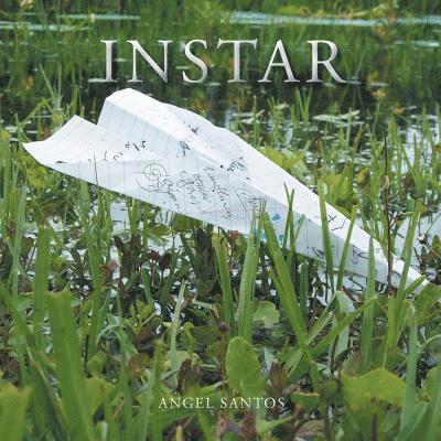 Instar 1