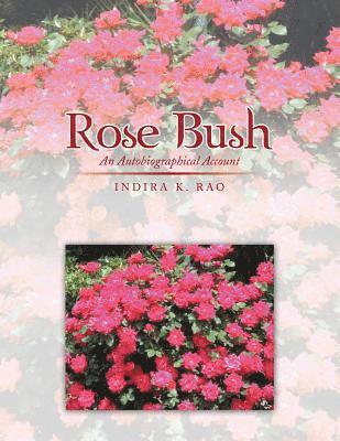 bokomslag Rose Bush