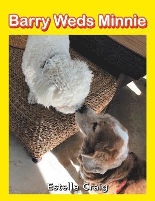 Barry Weds Minnie 1