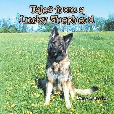 Tales from a Lucky Shepherd 1