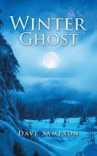 bokomslag Winter Ghost