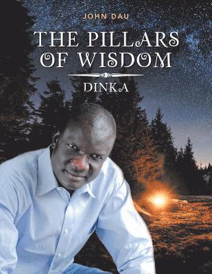 bokomslag Pillars of Wisdom