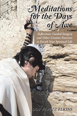 Dov Peretz Elkins - Meditations for the Days of Awe, Häftad