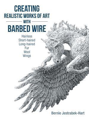 Creating Realistic Works of Art with Barbed Wire 1