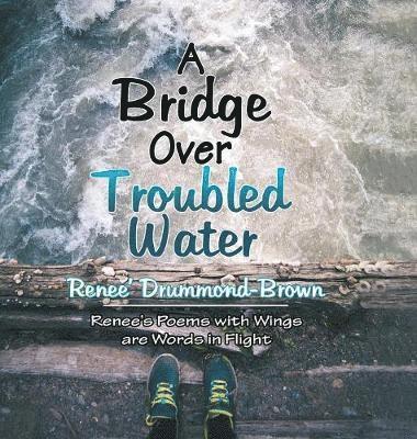bokomslag A Bridge over Troubled Water