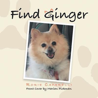 Find Ginger 1