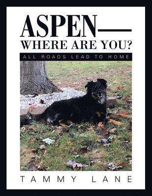 Aspen-Where Are You? 1