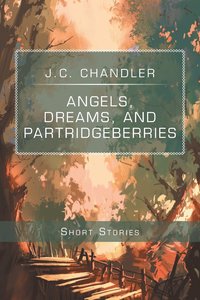 bokomslag Angels, Dreams, and Partridgeberries