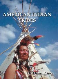 bokomslag American Indian Tribes