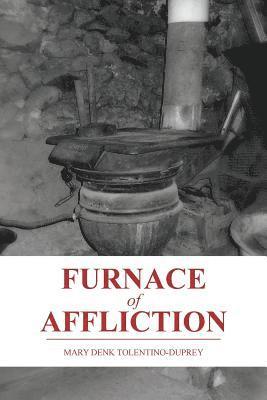 bokomslag Furnace of Affliction