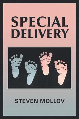 bokomslag Special Delivery