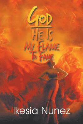 bokomslag God-He Ls My Flame to Fame