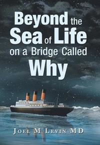 bokomslag Beyond the Sea of Life on a Bridge Called Why