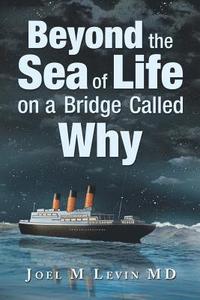 bokomslag Beyond the Sea of Life on a Bridge Called Why