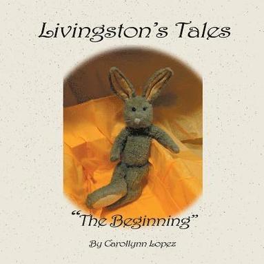 bokomslag Livingston's Tales