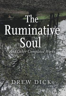 bokomslag Ruminative Soul
