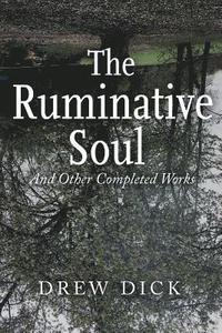 bokomslag Ruminative Soul